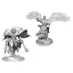 Nolzur's Marvelous Miniatures - Aasimar Cleric Male (W20)